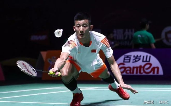 主力中卫卢 主力中卫卢