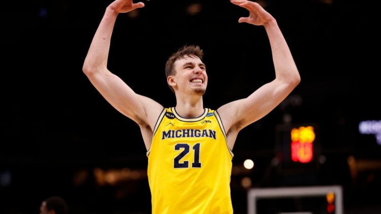 仪的角色 仪的角色